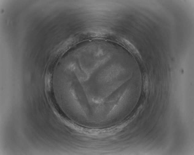 X0000086300026200703301214