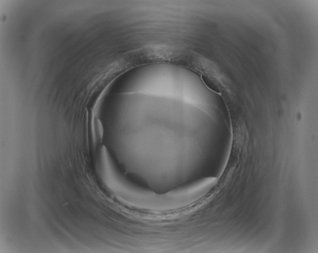 X0000086300027200703301214