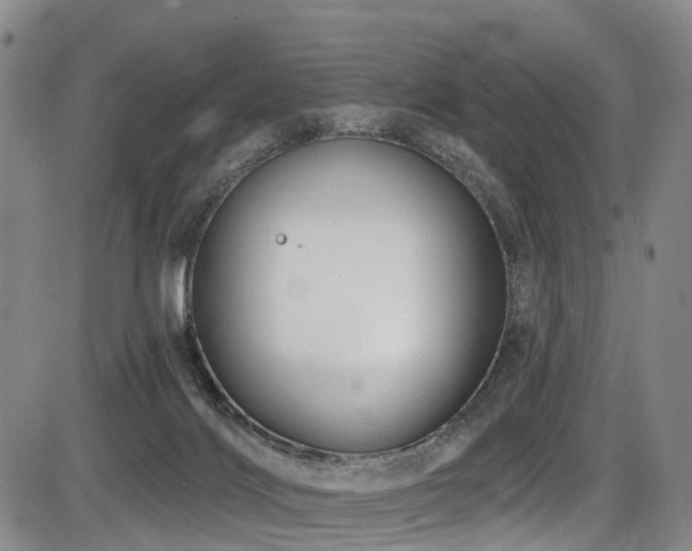 X0000086300028200703301214