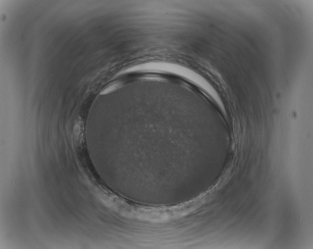 X0000086300029200703301214