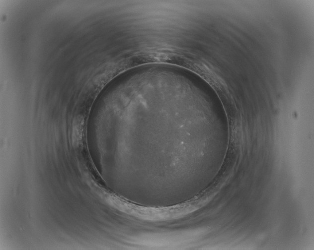 X0000086300030200703301214