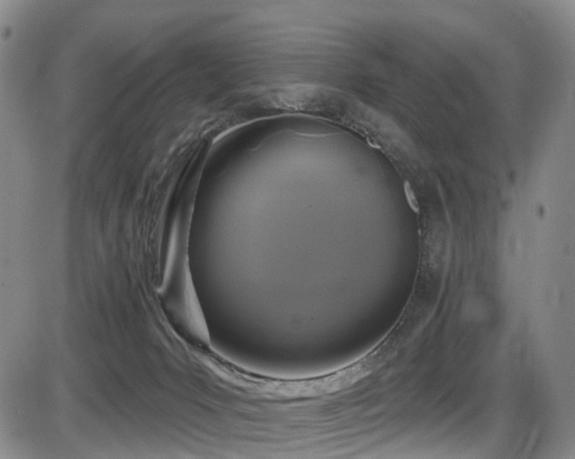 X0000086300031200703301214