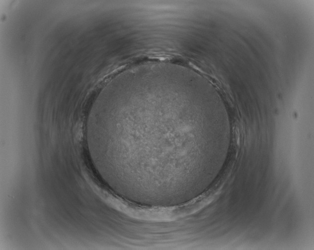 X0000086300032200703301214