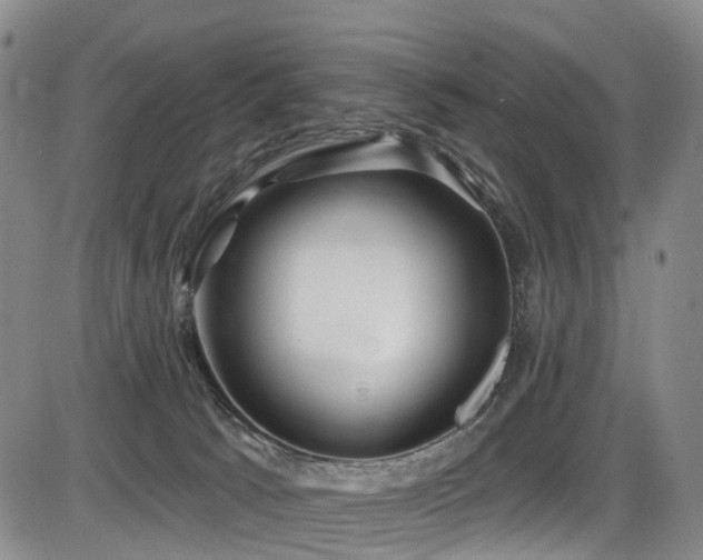 X0000086300033200703301214