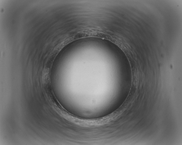 X0000086300034200703301214