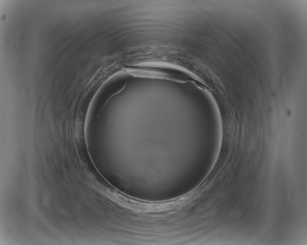 X0000086300035200703301214