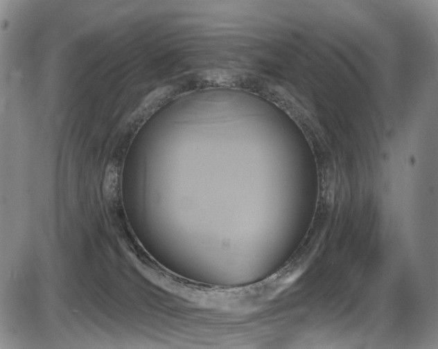 X0000086300036200703301214