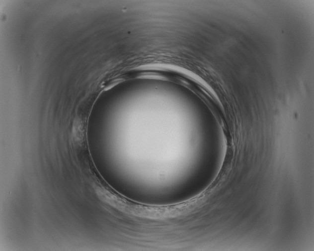 X0000086300037200703301213