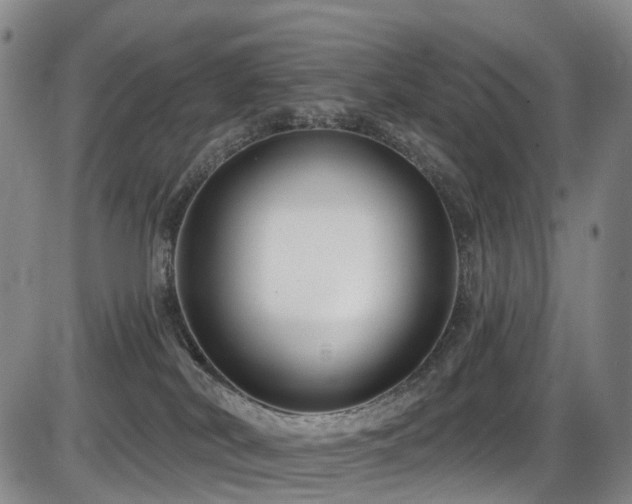 X0000086300038200703301213