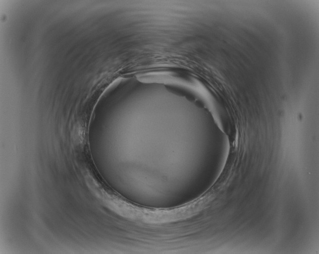 X0000086300039200703301213