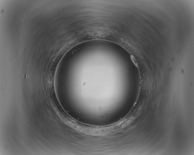 X0000086300040200703301213