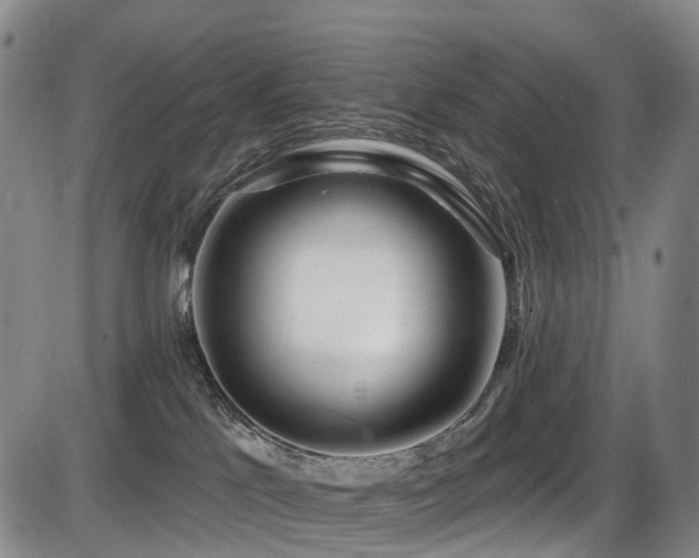 X0000086300041200703301213