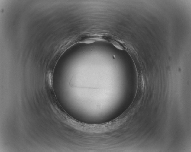 X0000086300042200703301213