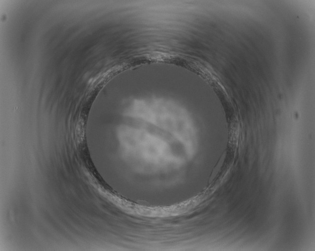 X0000086300043200703301213