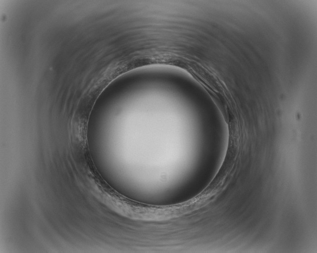 X0000086300044200703301213