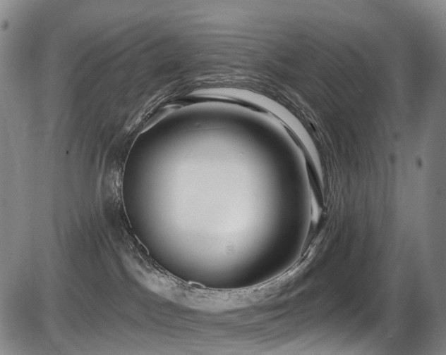 X0000086300045200703301213