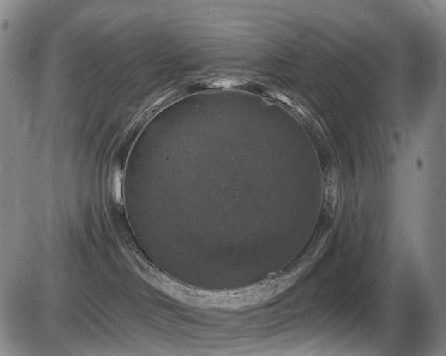 X0000086300046200703301213