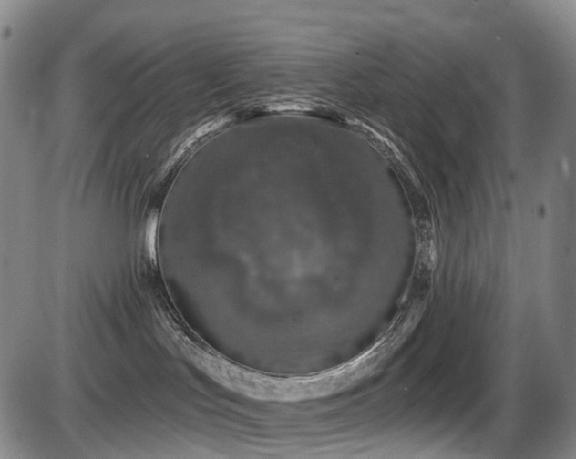 X0000086300047200703301213