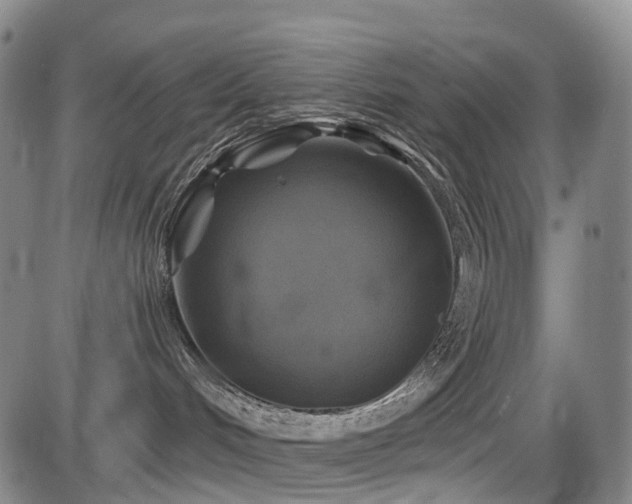 X0000086300048200703301213