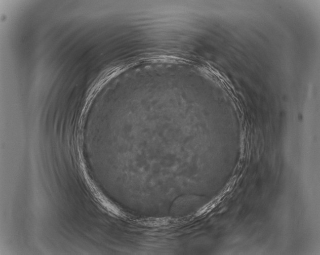 X0000086300049200703301213