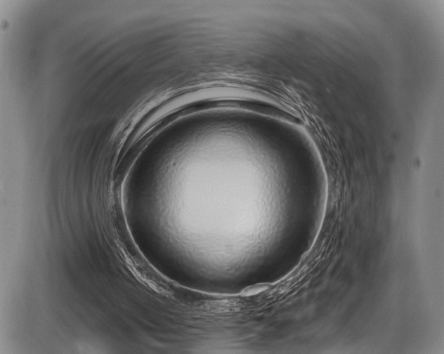 X0000086300050200703301213