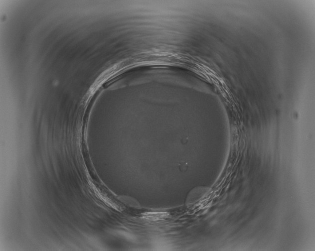 X0000086300051200703301213