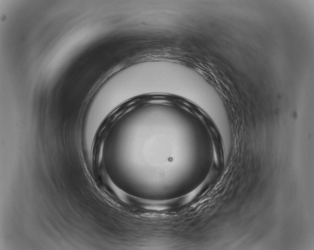 X0000086300052200703301213