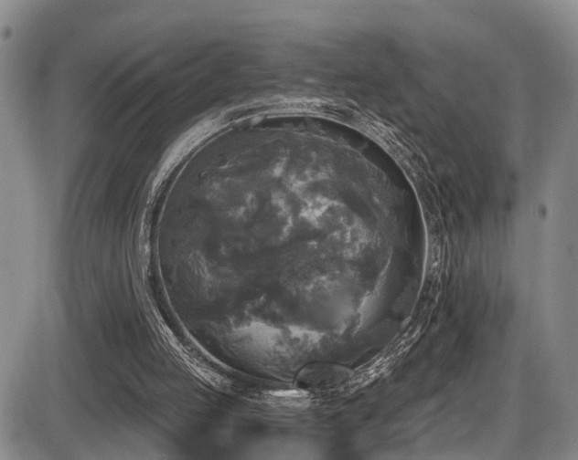 X0000086300053200703301213