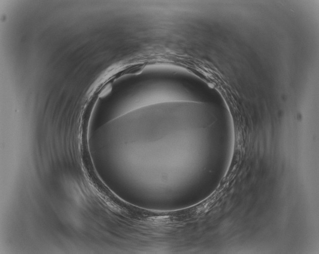 X0000086300054200703301213