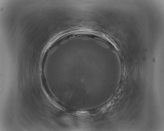 X0000086300055200703301213