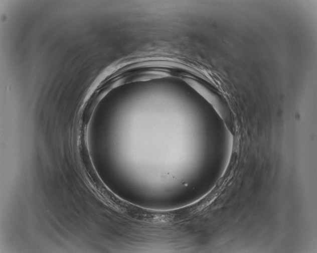 X0000086300056200703301213