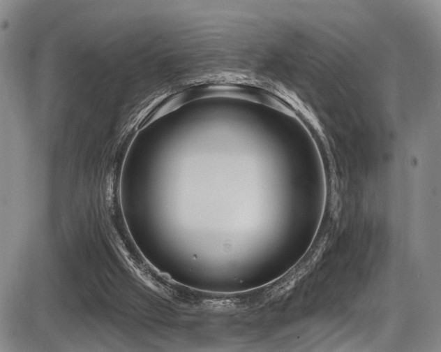 X0000086300057200703301213