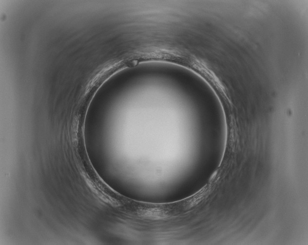 X0000086300058200703301213