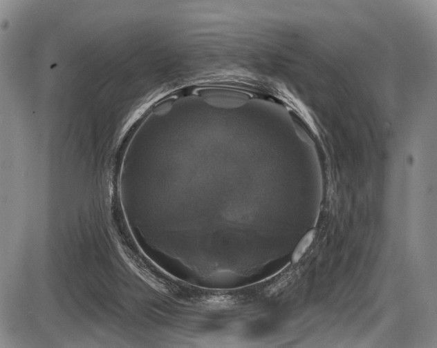 X0000086300059200703301213