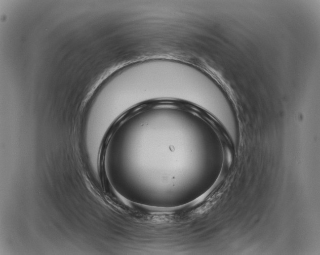 X0000086300060200703301213