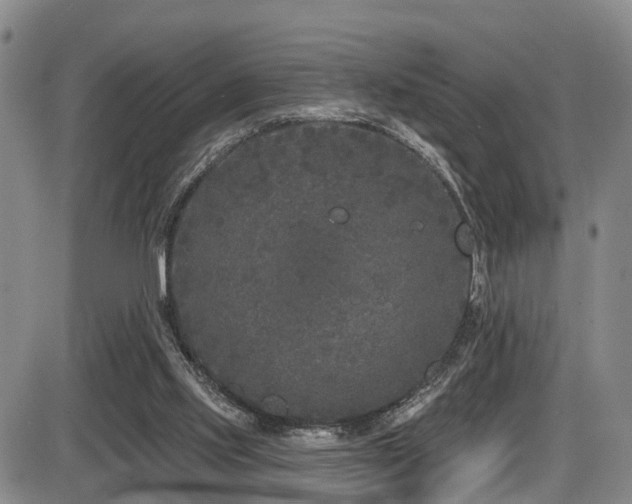 X0000086300061200703301213