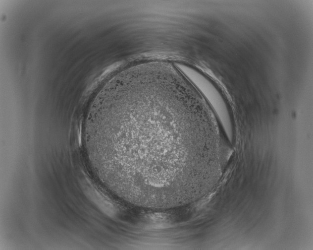 X0000086300062200703301213