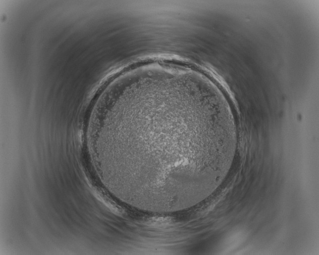 X0000086300063200703301213