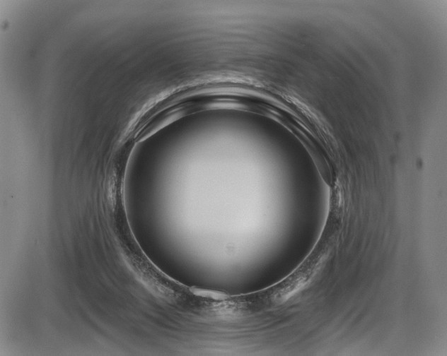 X0000086300064200703301213