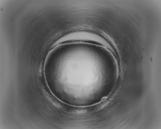 X0000086300065200703301213