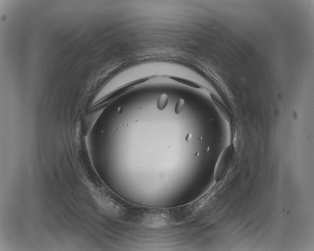 X0000086300066200703301213