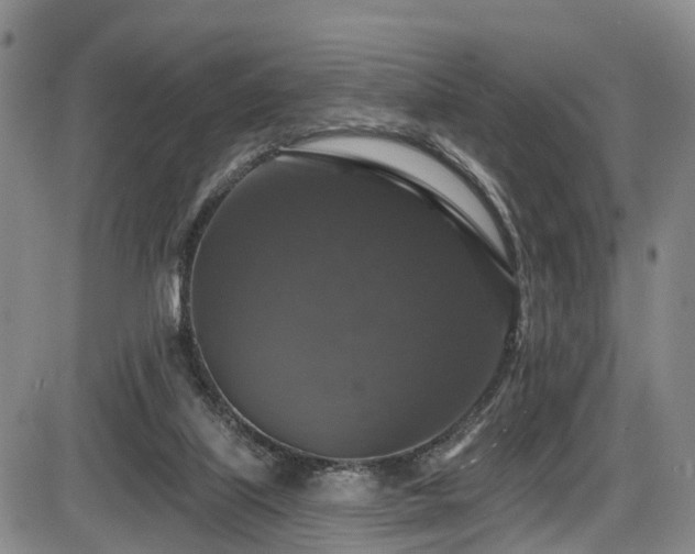 X0000086300067200703301213