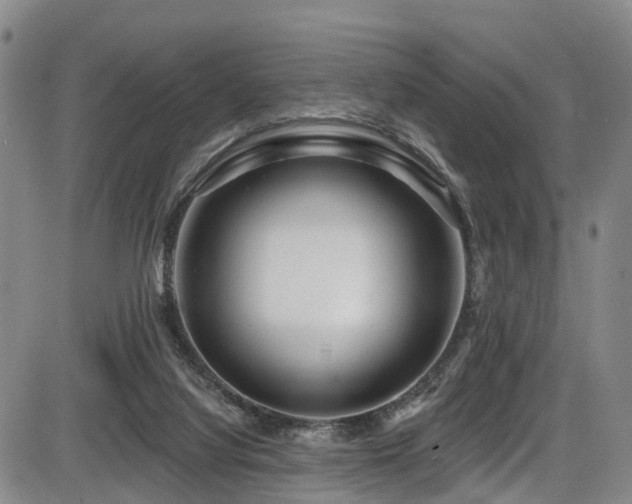 X0000086300068200703301213