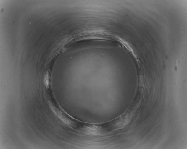 X0000086300069200703301213