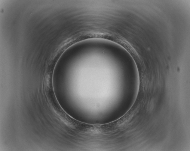 X0000086300071200703301213