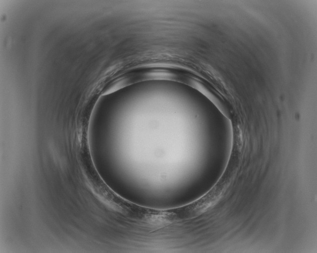 X0000086300072200703301213