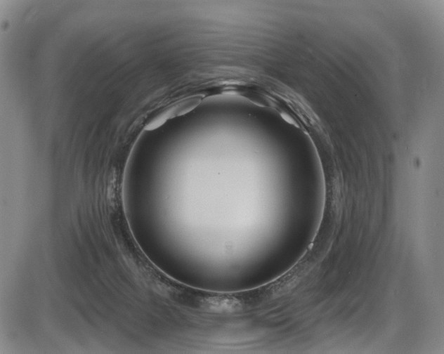 X0000086300073200703301213