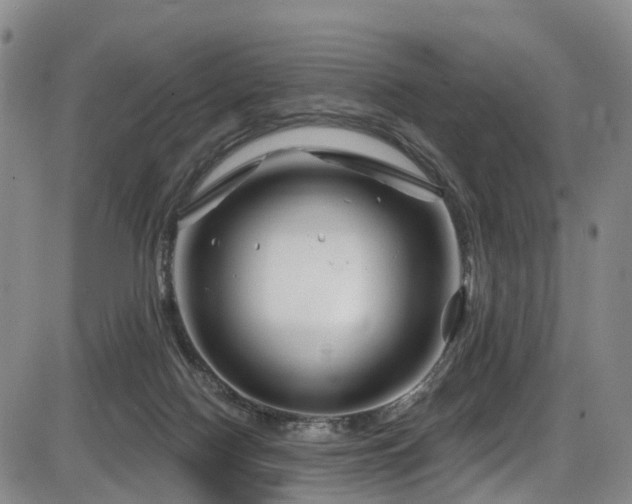 X0000086300074200703301213