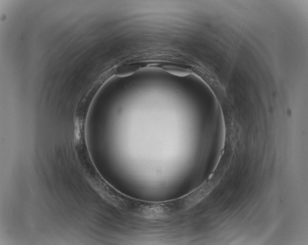 X0000086300075200703301213