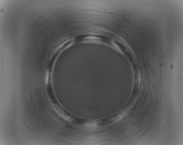 X0000086300076200703301213